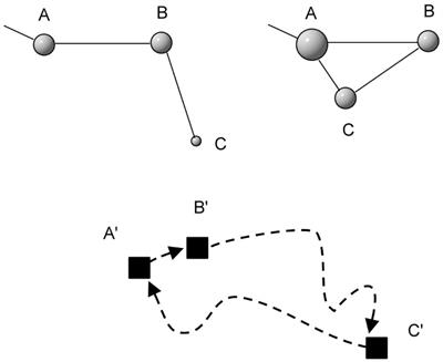 Individual Network Topology of Patch Selection Under Influence of Drifting Site Fidelity